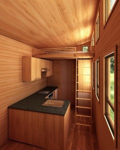 Phoenix American Tiny House Interior