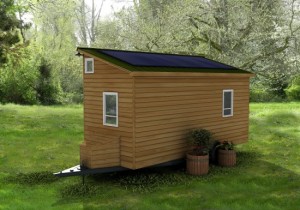 Phoenix American Tiny House Back