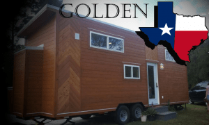 28-Golden-Back-Header-Image-v4